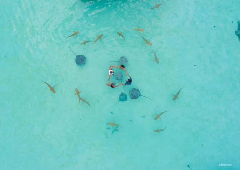 MOOREA 6H PRIVATE BOAT TOURS SNORKELING & LUNCH - An In-Depth Look at the Experience