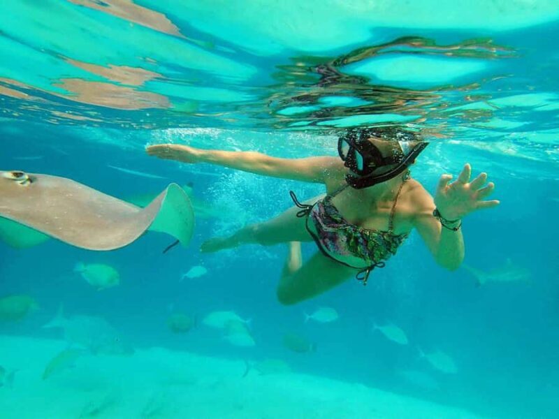 MOOREA 6H PRIVATE BOAT TOURS SNORKELING & LUNCH - Why This Tour Offers Great Value