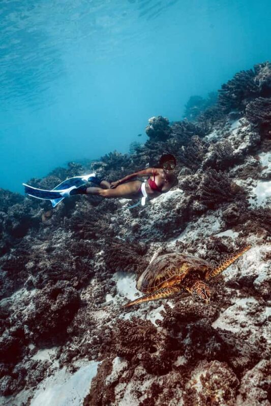 MOOREA 6H PRIVATE BOAT TOURS SNORKELING & LUNCH - Frequently Asked Questions