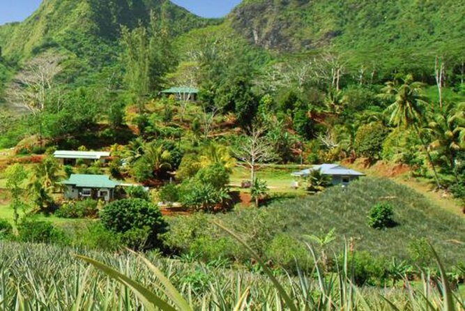 Moorea Aito 4WD Safari Tour - Half day - Final Thoughts: Who Will Love This Tour?