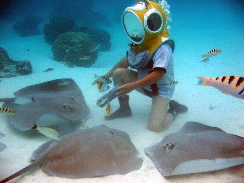 Moorea: Aquablue Helmet Underwater Walking Experience - FAQ