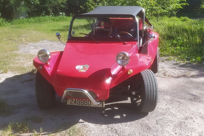 Moorea Buggy Rental - Discover Moorea with Your Own Mini Jeep