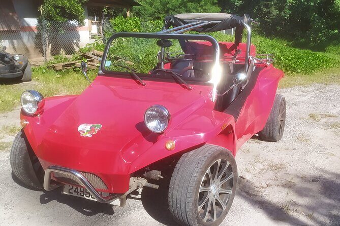 Moorea Buggy Rental - Itinerary and Highlights: What to Expect
