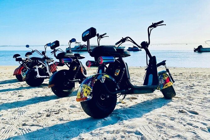 Moorea citycoco tour: The most beautiful beaches! - Stop 2: Opunohu Bay (pnohu Bay)