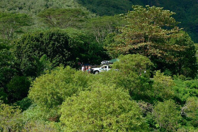 Moorea Cruise Ships: 4x4, Belvedere,Magic Mountain pineaple - FAQ