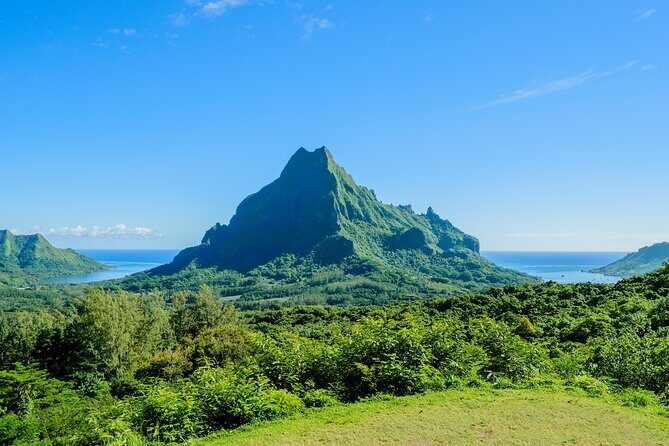 Moorea Full-Day Hiking Experience  Private Shore Tour - The Sum Up