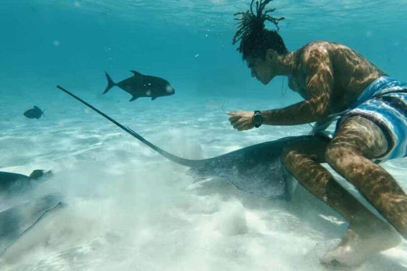 Moorea: Glass Bottom Boat Adventure with Lagoon Wonders - Who Is This Tour Best For?