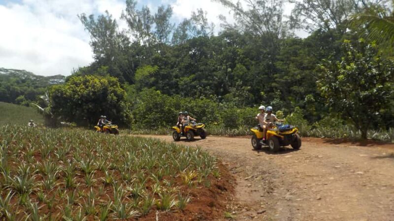 Mo'orea: Guided ATV Nature Tour - An Introduction to the Moorea ATV Experience
