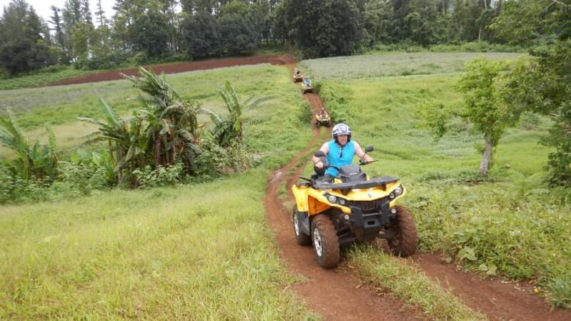 Mo'orea: Guided ATV Nature Tour - What to Expect and Practical Details