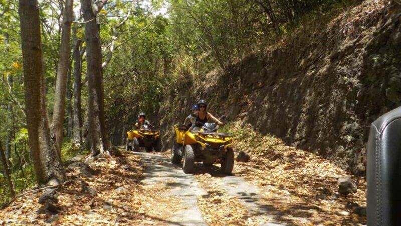 Mo'orea: Guided ATV Nature Tour - Final Thoughts: Who Should Consider This Tour?