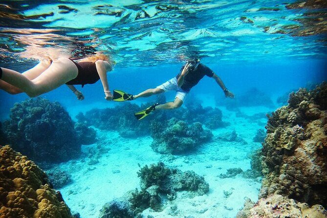 Mo'orea Half Day Private Tour with Snorkeling and Cruising the Lagoon - Key Points