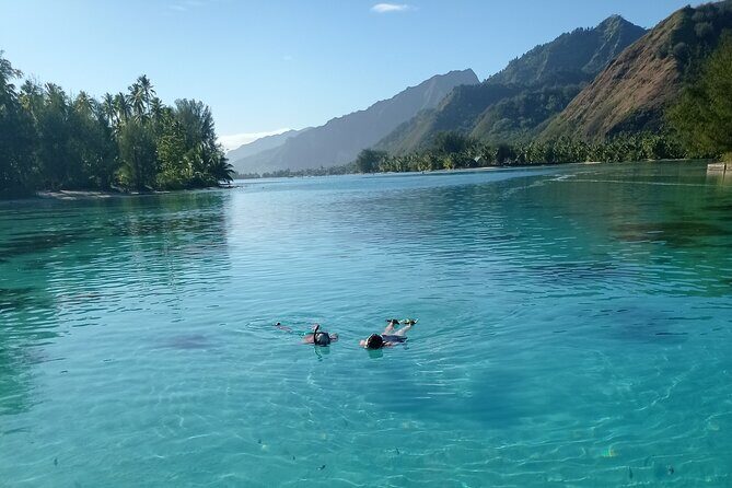 Mo'orea Half Day Private Tour with Snorkeling and Cruising the Lagoon - Who Would Love This Tour?