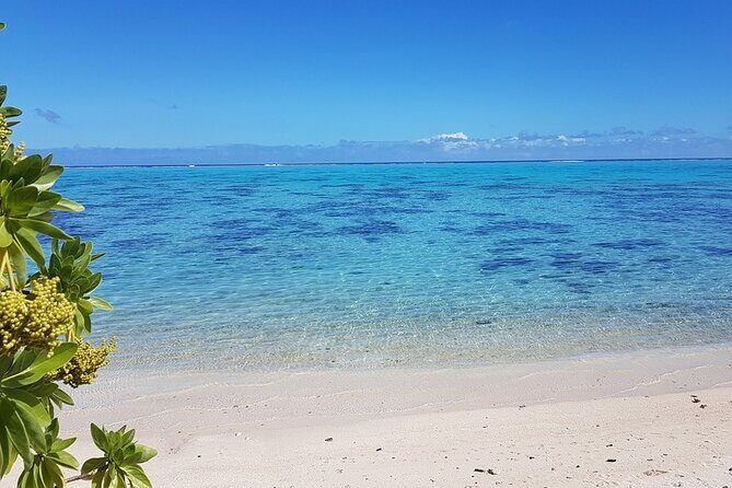 Moorea Highlights Private Tour: Natural and Cultural Attraction - Final Thoughts