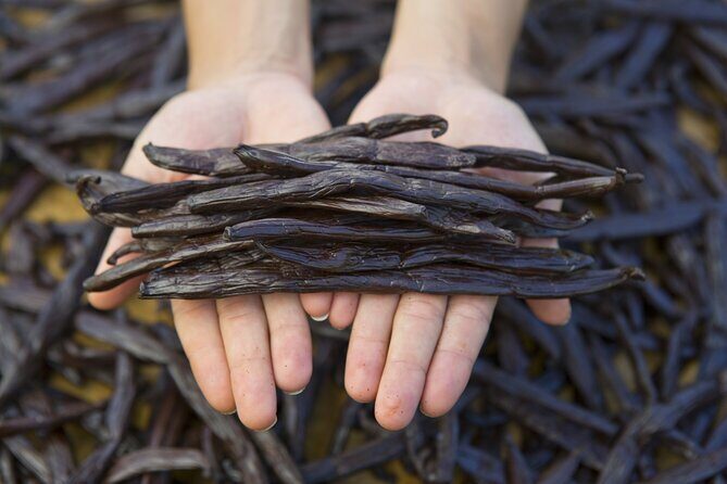 Moorea Highlights Private Tour: Natural and Cultural Attraction - FAQs