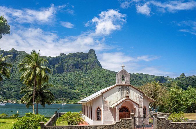 Moorea Island Highlights by Car: Private Shore Tour from Port - Who Should Consider This Tour?