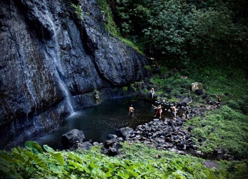 Moorea: Island Tour with Waterfall Hike and Lunch - Who Will Love This Tour?