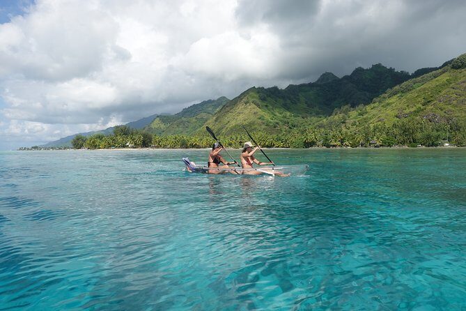 Moorea Lagoon Tour by Transparent Kayak - The Value for Money