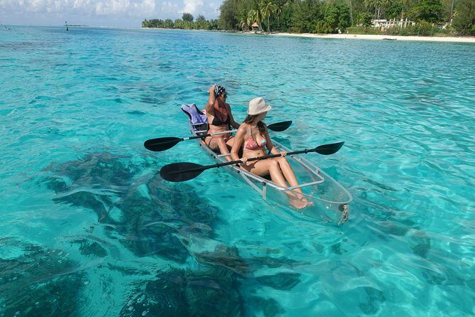 Moorea Lagoon Tour by Transparent Kayak - Practical Tips for Travelers
