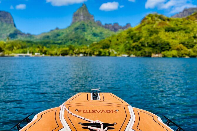 Moorea: Private 4-Hour High-End Boat Excursion - Who Would Enjoy This Tour?
