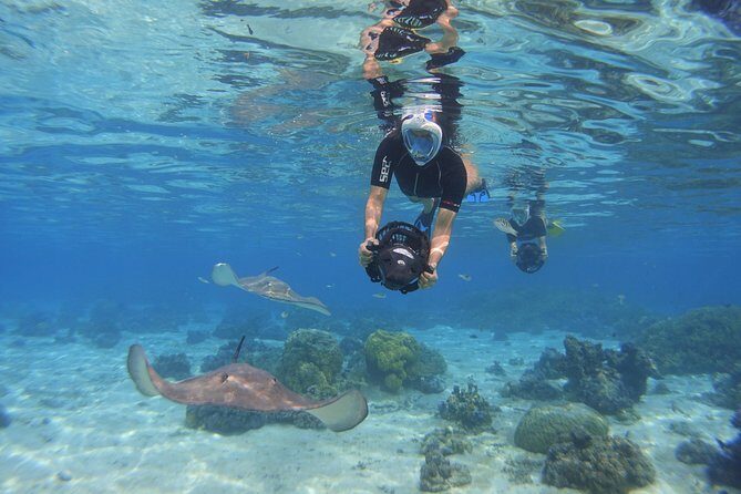 Moorea Private Boat Tour / Sea Scooter Snorkeling Tour - Who Will Love This Tour?
