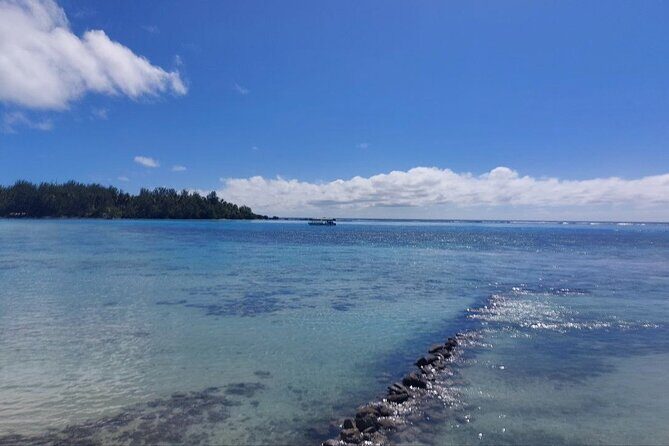 Moorea Private Full Day Tour - Authenticity and Experiences Based on Reviews