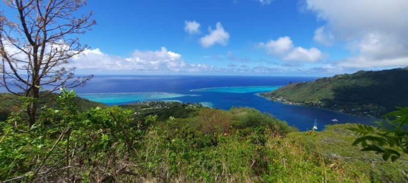 Moorea : Safari Nature and Culture Tour with local guide - An In-Depth Look at the Moorea Safari Tour