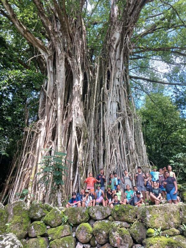 Moorea : Safari Nature and Culture Tour with local guide - The Sum Up