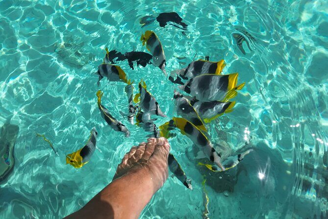 Moorea Solo or Twin Island Tour Jet Ski 4 hours - Final Thoughts