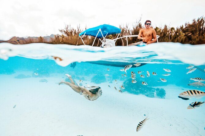 Moorea Sunset Boat Tour - Who Should Consider This Tour?