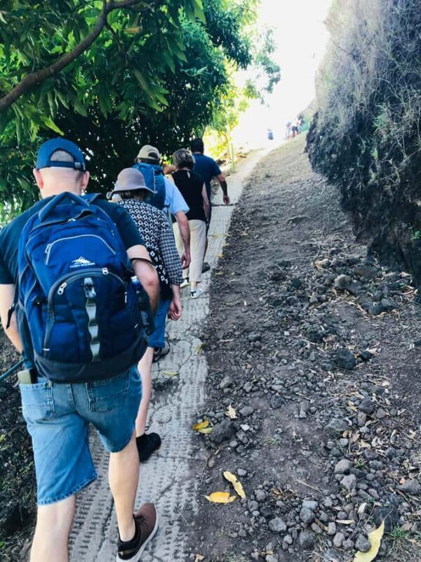 Moorea:4X4 safari excursion between land and sea with lunch - Engaging in Cultural Activities and Local Music