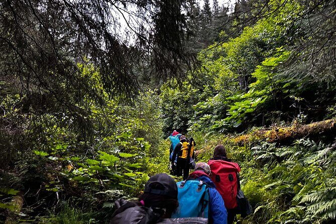Moose Pass Hiking and Kayak Guided Tour Experience - An In-Depth Look at the Moose Pass Kayak & Hike Experience