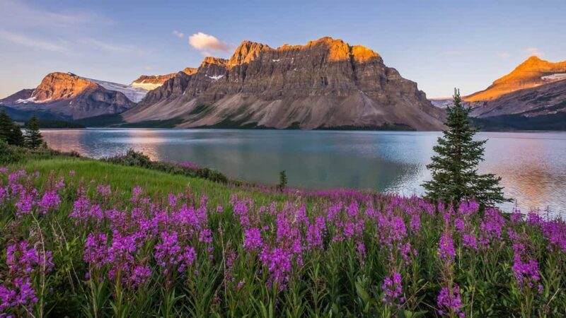 Moraine Lake and Iconic Sights of the Rockies Private Tour - An In-Depth Look at the Rockies Private Tour