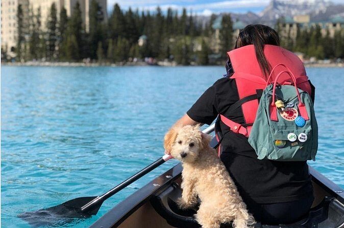 Moraine Lake and Lake Louise Shuttle | End of Summer Seat Sale! - The Sum Up