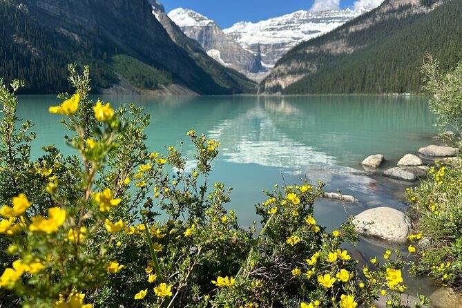 Moraine Lake and Lake Louise Sunrise Tour from Banff - A Closer Look at the Moraine Lake and Lake Louise Sunrise Tour from Banff