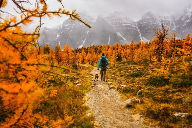 Moraine Lake: Larch Valley Hike, Departure From Lake Louise - Frequently Asked Questions