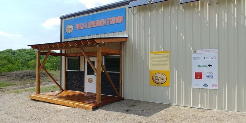 Morden, Manitoba: Full-Day Fossil Dig Tour with Instructor - The Practical Details