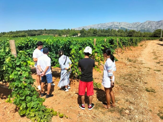 More Than a Wine Tour : Day Like a Local in the Countryside - Winery Visit and Wine Tasting