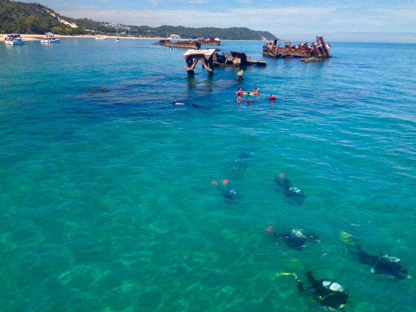 Moreton Island Day-Trip to Scuba Dive and More - Important Information
