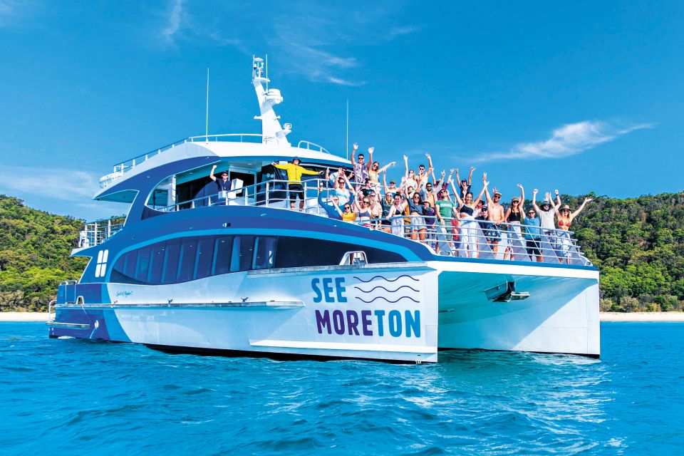 Moreton Island: Dolphin and Tangalooma Wrecks Day Cruise - Key Points