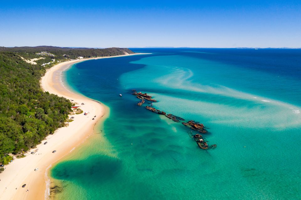 Moreton Island: Dolphin and Tangalooma Wrecks Day Cruise - Tour Highlights