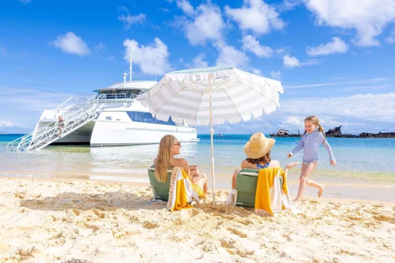 Moreton Island: Dolphin & Tangalooma Wrecks Snorkel Cruise - An Overview of the Experience