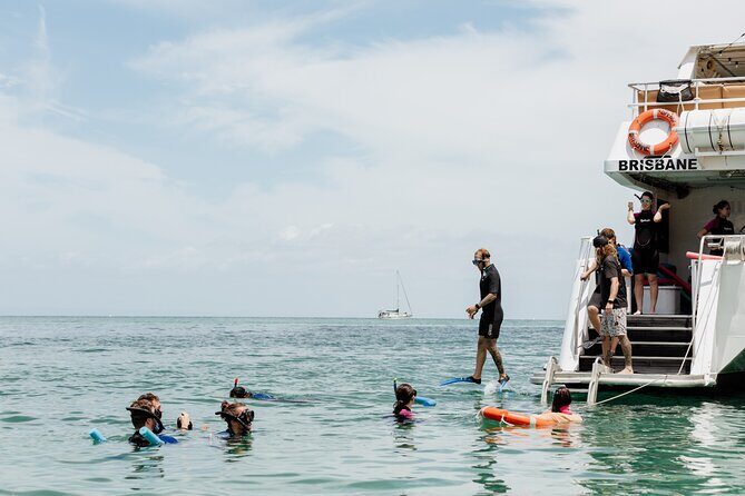 Moreton Island Eco Marine Safari Cruise and Snorkel - Key Points