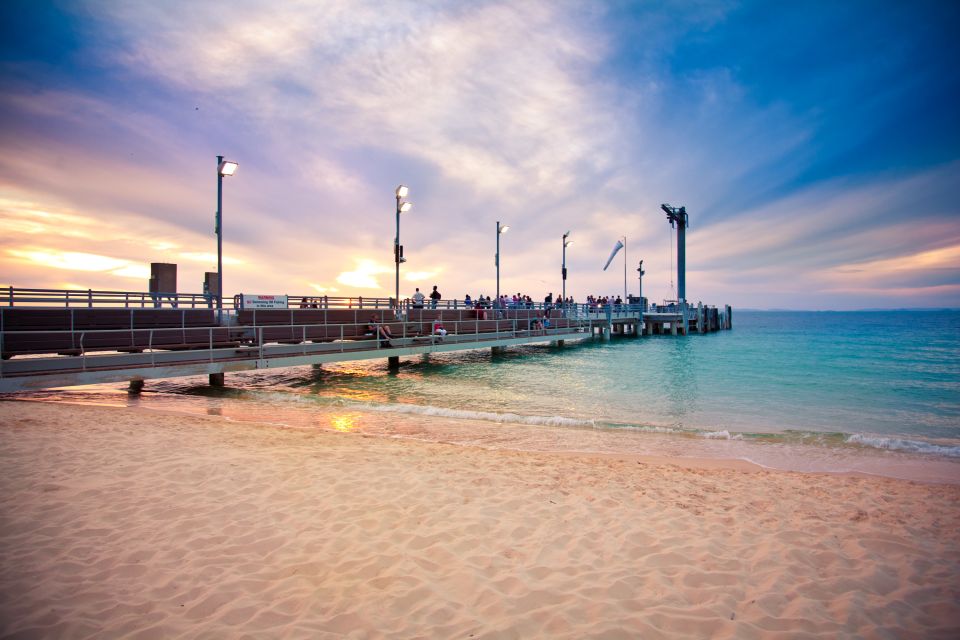 Moreton Island: Marine Discovery Cruise & Dolphin Viewing - Directions and Safety