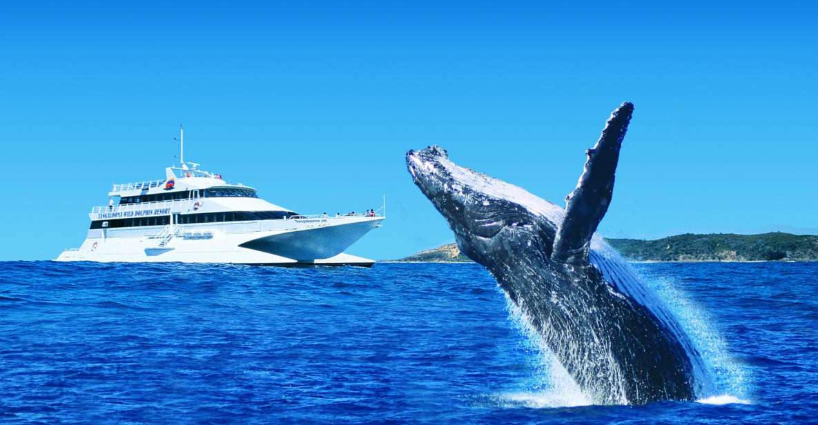 Moreton Island: Tangalooma Day Trip & Whale Watching Cruise - Highlights