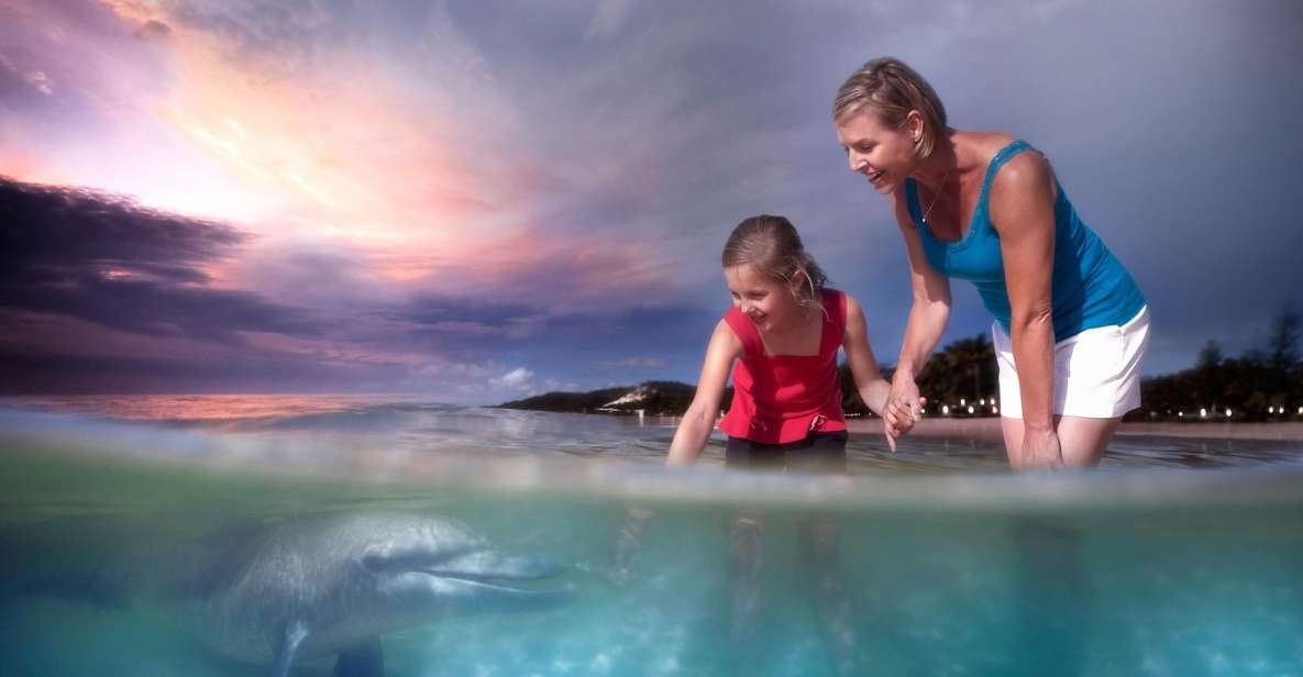 Moreton Island: Tangalooma Desert Safari and Dolphin Feeding - Pricing and Duration