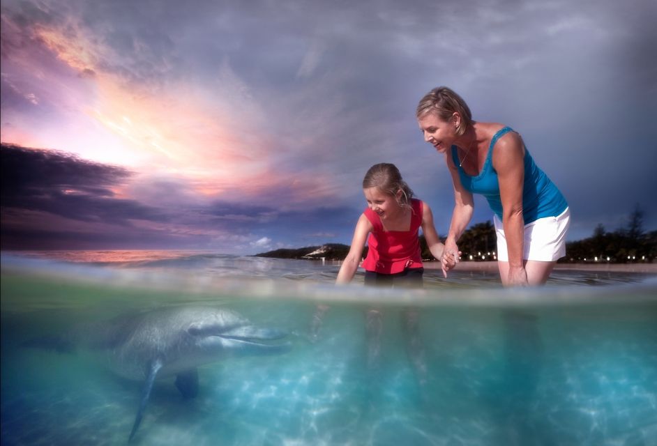 Moreton Island: Tangalooma Snorkeling Tour & Dolphin Feeding - Experience