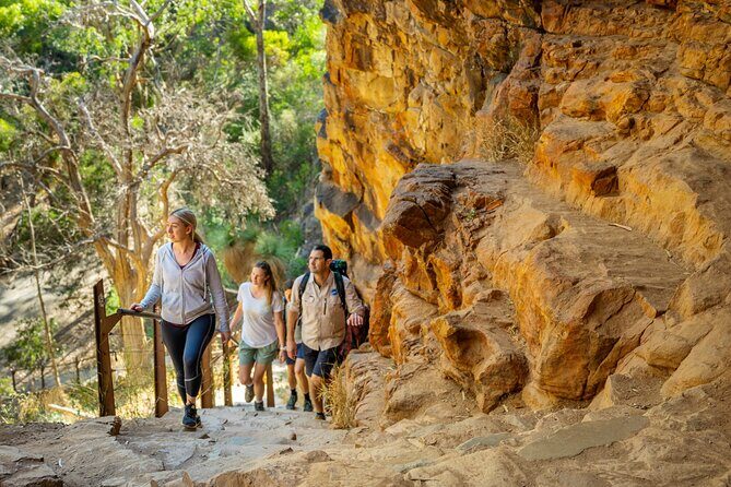 Morialta Wilderness and Wildlife Hike - Who Will Love This Tour?