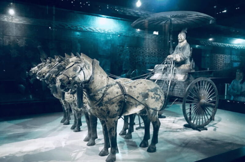 Morning /Afternoon Terracotta army ticket and guide service - The Sum Up