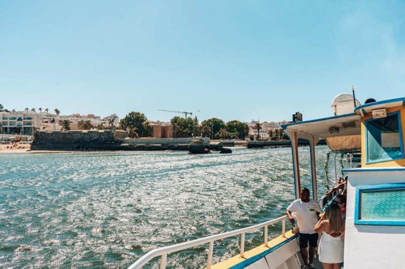Morning Coastal Cruise - A Detailed Look at the Experience