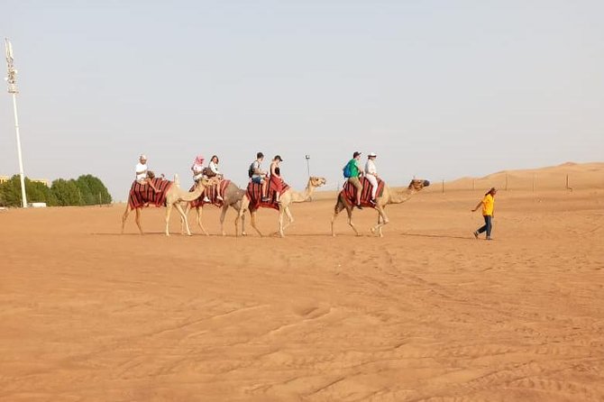 Morning Desert Safari With Quad Biking, Camel Riding and Dune Bashing - Sunrise Photography Opportunities